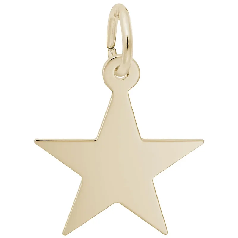 10K Yellow Gold Star Charm